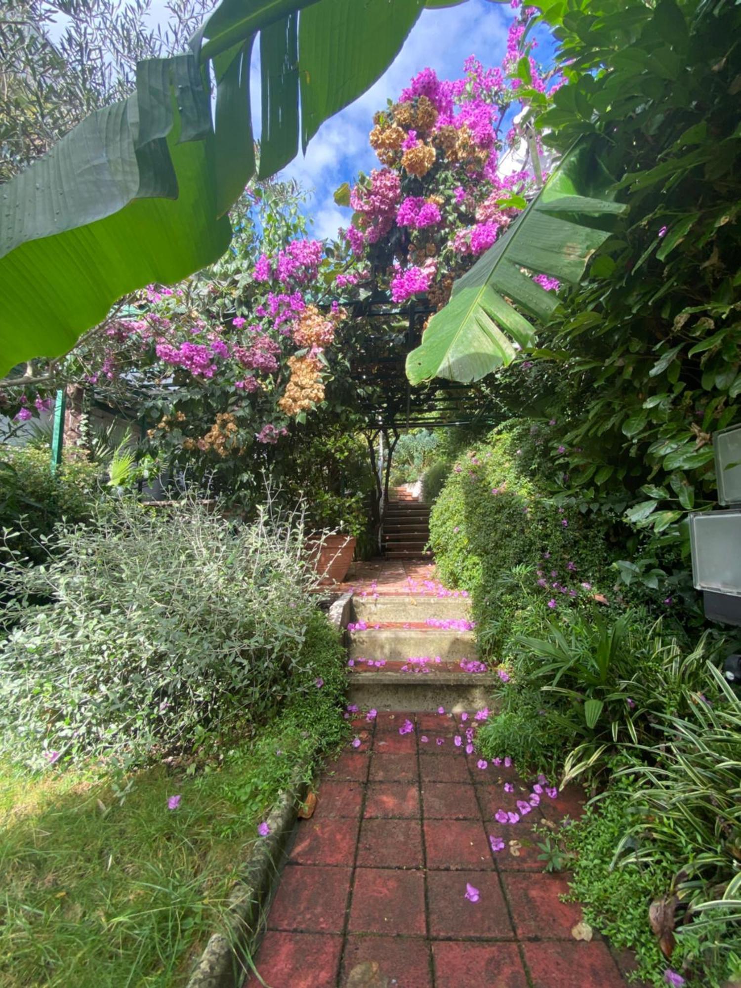 Sunny Garden Apartment Opatija Exterior photo